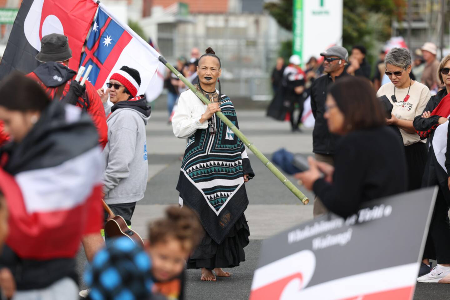A national hīkoi protesting the bill is making its way south to Wellington, hitting the streets of Hamilton today. Photo / Mike Scott