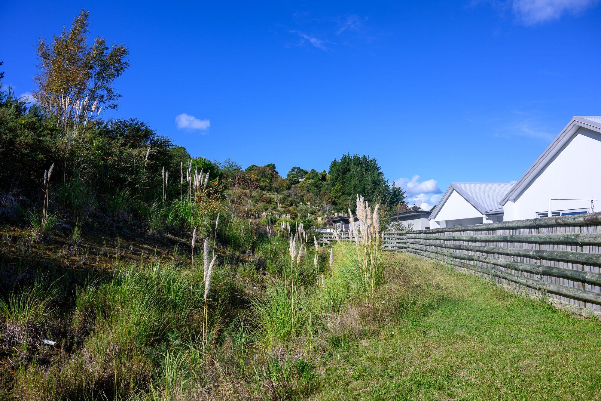  The property behind homes on Saint Pauls Drive. Photo / David Hall