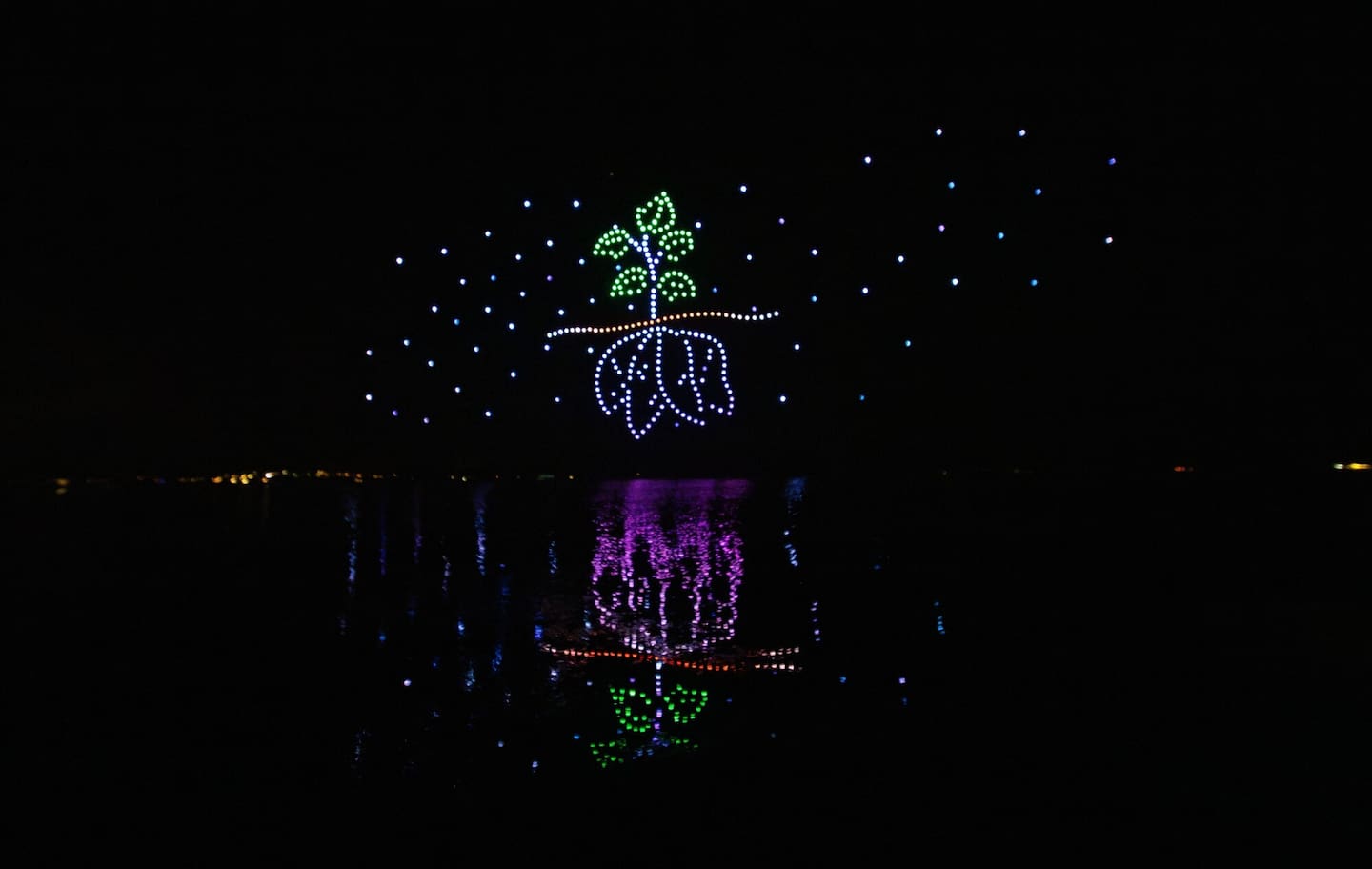The Aronui Matariki Drone Show marked its second year. Photo / Āio Media