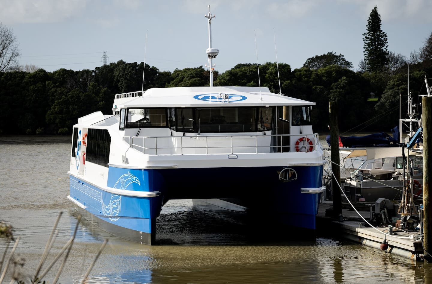 An Auckland father has accused Auckland Transport (AT) of major failures around passenger safety. Photo / Dean Purcell