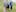 Round the Bridges



Wanganui Chronicle Photograph by Stuart Munro
WGP 22May17 -