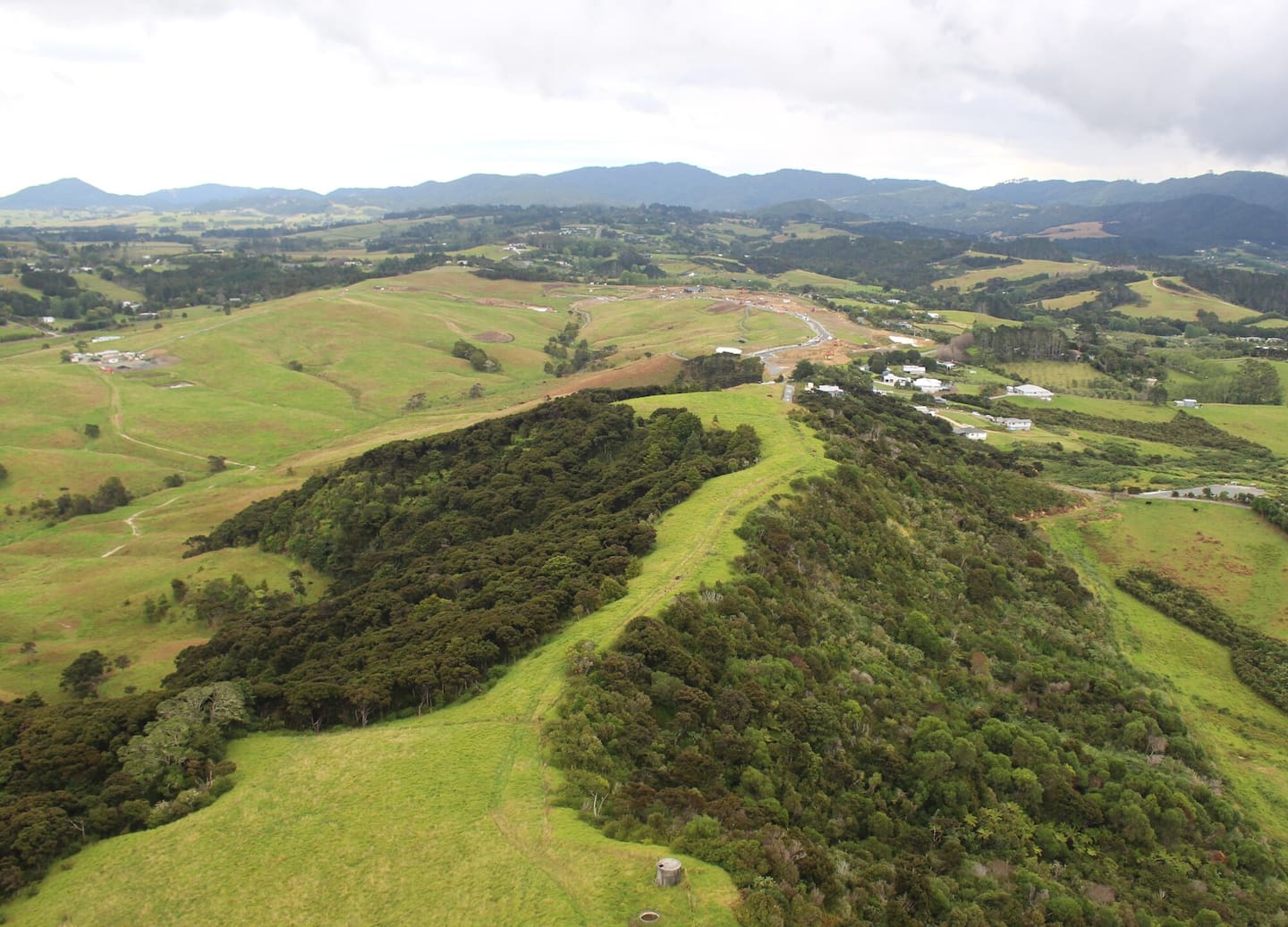 Mangawhai Hills is being developed in several stages but about half the 185ha site is being kept aside for native regeneration. Photo / Denise Piper