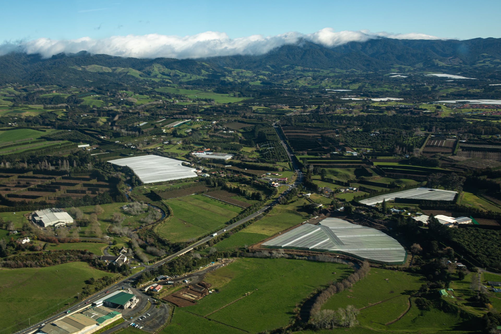 Western Bay has a large agricultural sector, but land still needs to be made available for housing, candidates say. Photo / Mead Norton