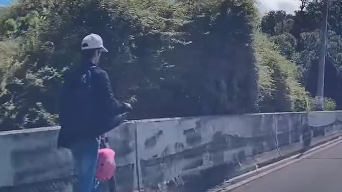 ‘Absolute moron’: E-scooter rider on motorway metres from high-speed traffic ‘Absolute moron’: E-scooter rider on motorway metres from high-speed traffic