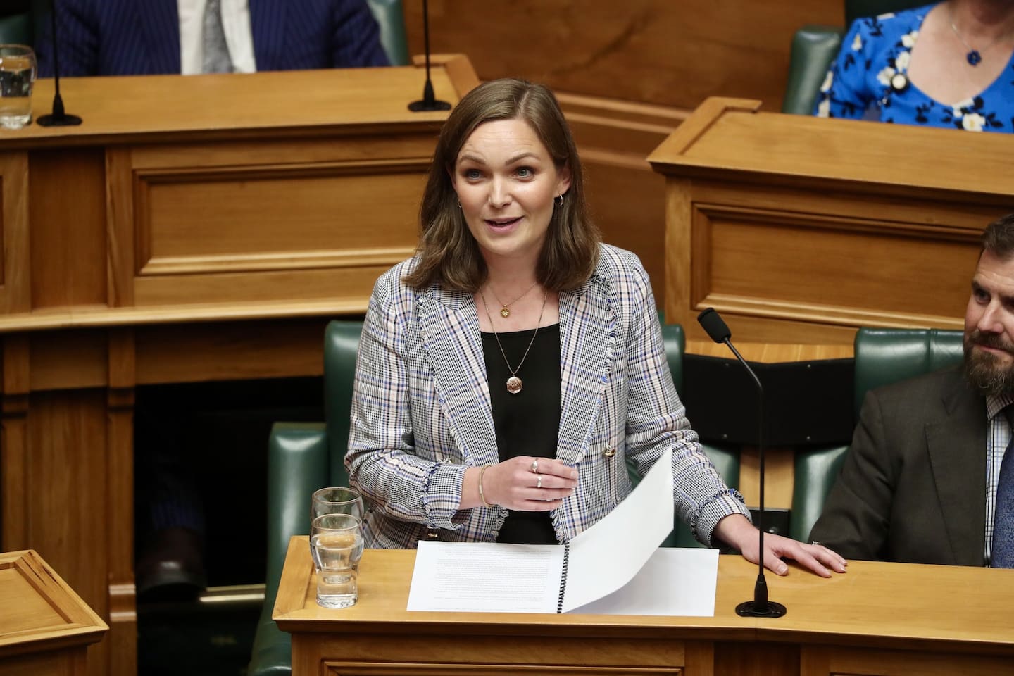 Napier MP Katie Nimon says staffing constraints are the main reason for the closures. Photo / Mark Mitchell