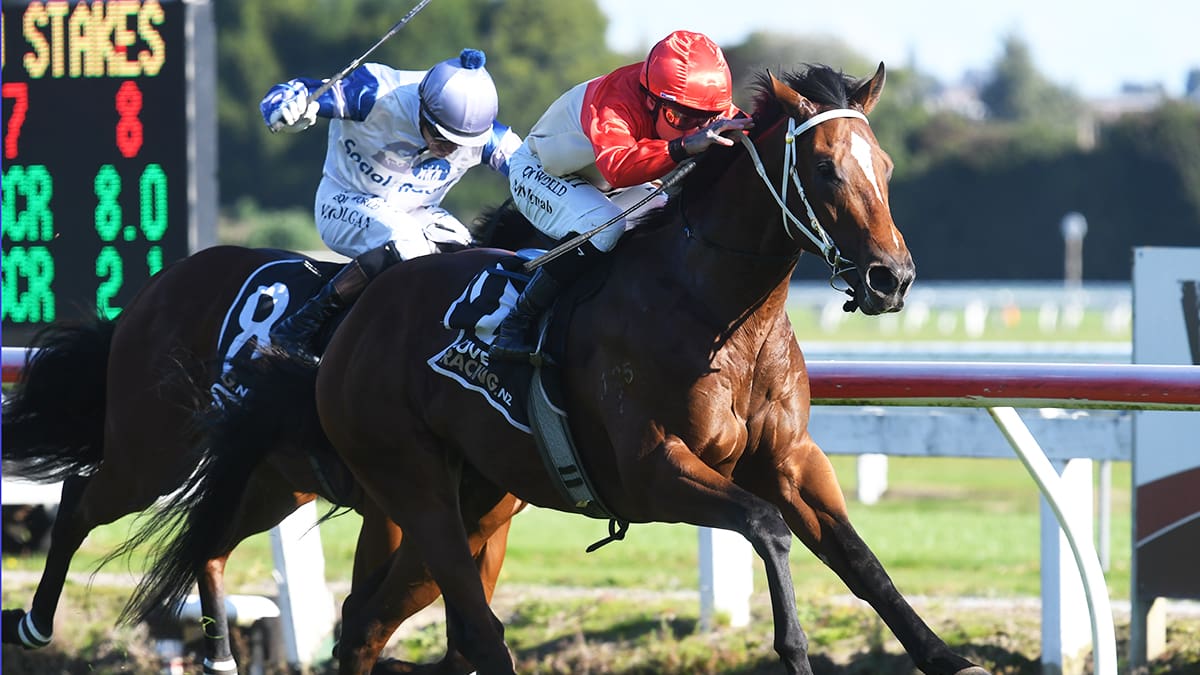 Horse racing: Unbeaten Super Photon shines in Te Rapa feature - NZ Herald