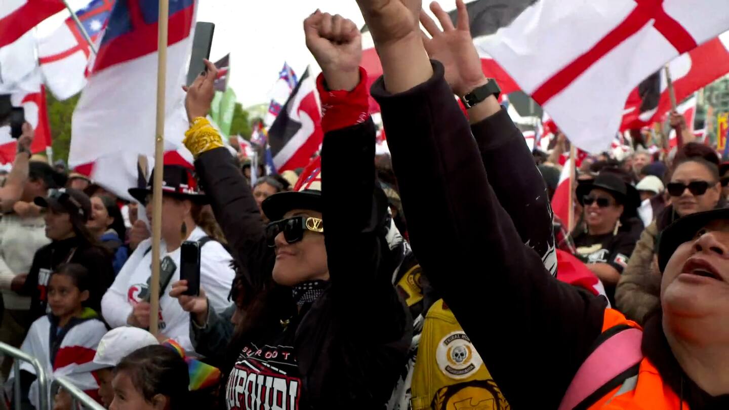 Hikoi mo te Tiriti marches through Wellington to reach Parliament. Photo / NZME