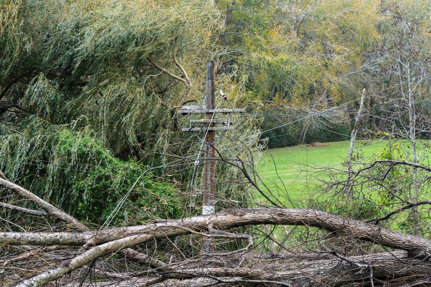 A number of families on Auckland’s North Shore have been without power for nearly three nights – some are stuck in their homes with young children. Photo / Vector Limited