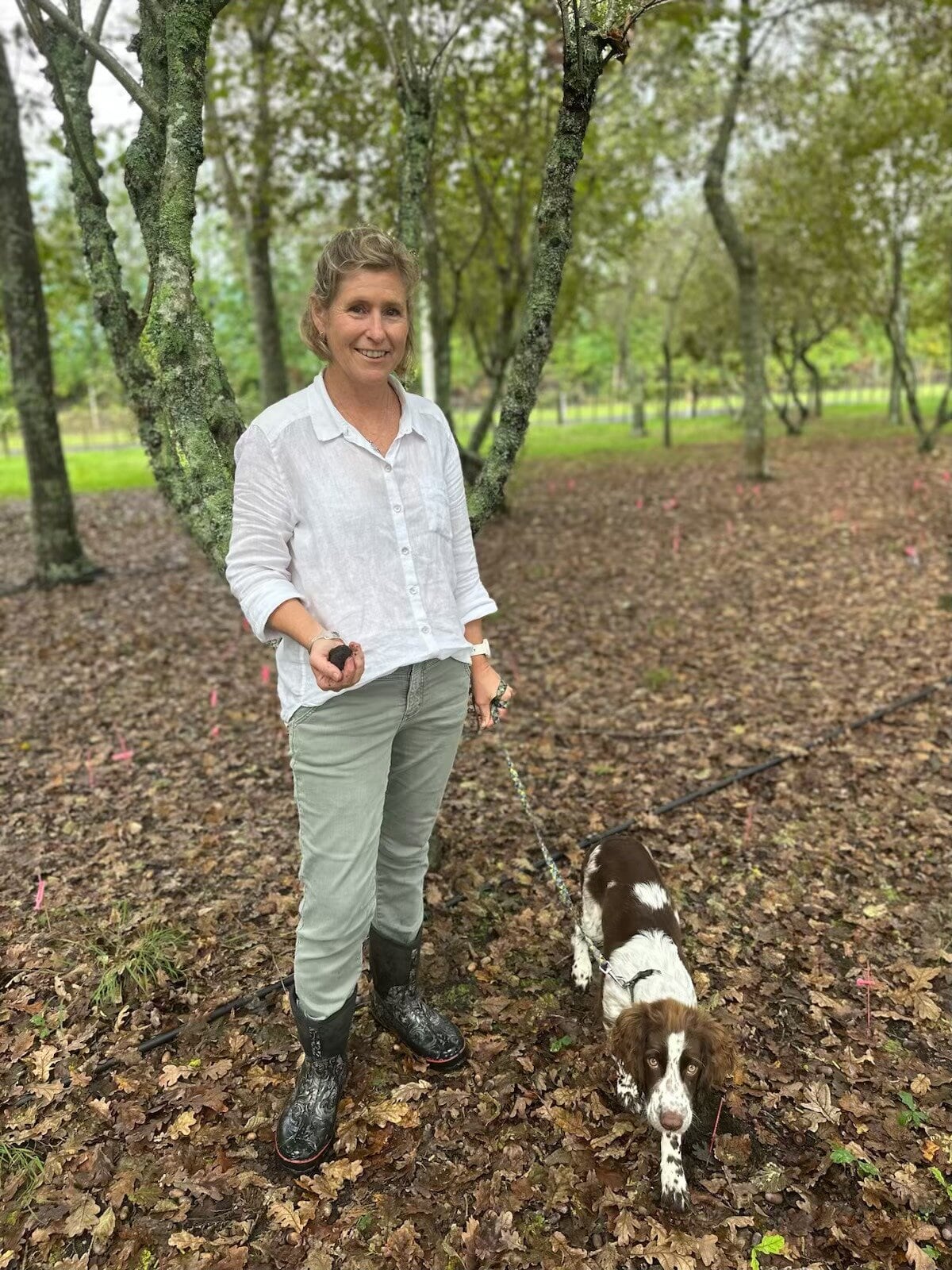   Никки в трюфельном магазине тренирует щенка спрингер-спаниеля Инди охотиться за трюфелями. Фото/Прилагается