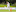 Kiwi now: Auckland fast bowler Danru Ferns. Photo / Getty Images