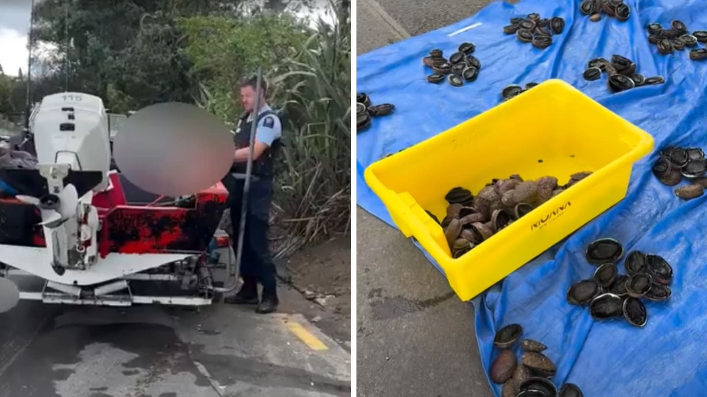 A man was caught with 200 undersized pāua in Castor Bay, North Shore, last week.