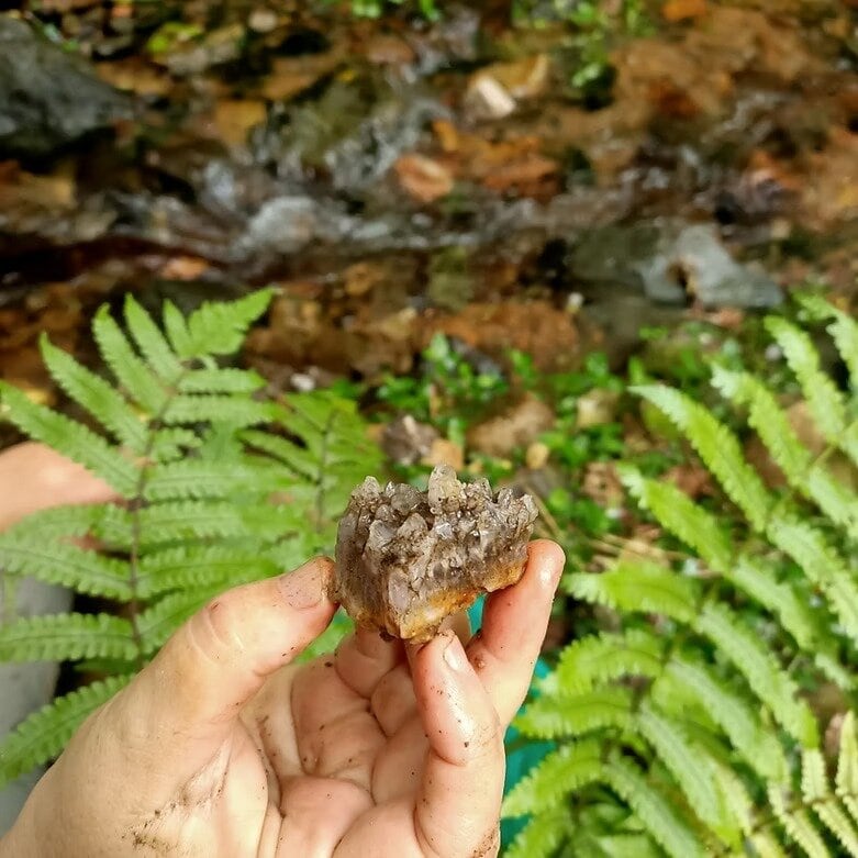  A great find for a rockhound while fossicking in the bush near a stream. Photo / Supplied.