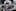 Photo / Paul Estcourt