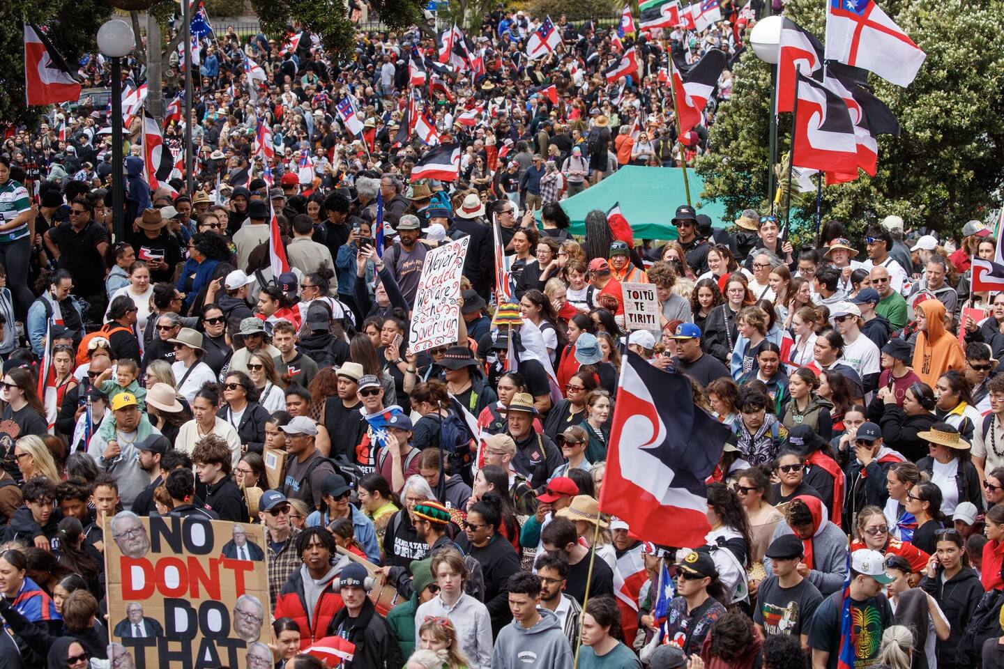 Thousands of hikoi protesters expressed their opposition to the Treaty Principles Bill on Parliament Grounds, Wellington, in November. Photo / Mark Mitchell