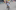 Max Olsen, 2,