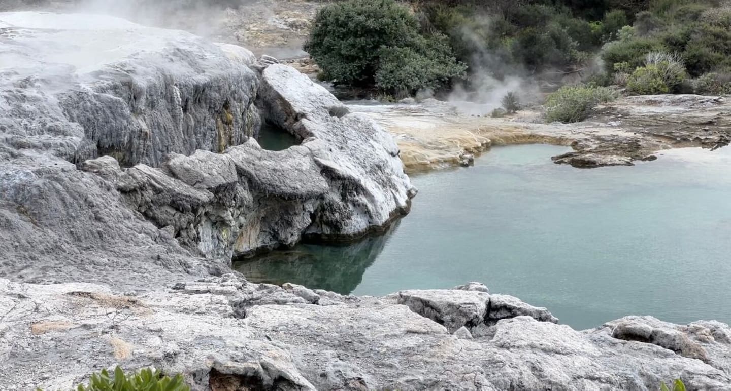 The Blueys at Te Puia.