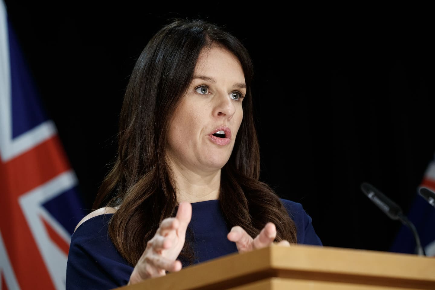 Immigration Minister Erica Stanford. Photo / Mark Mitchell