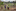 Marubo Indigenous people using the internet in rural Brazil in 2024. Photo / Victor Moriyama, The New York Times