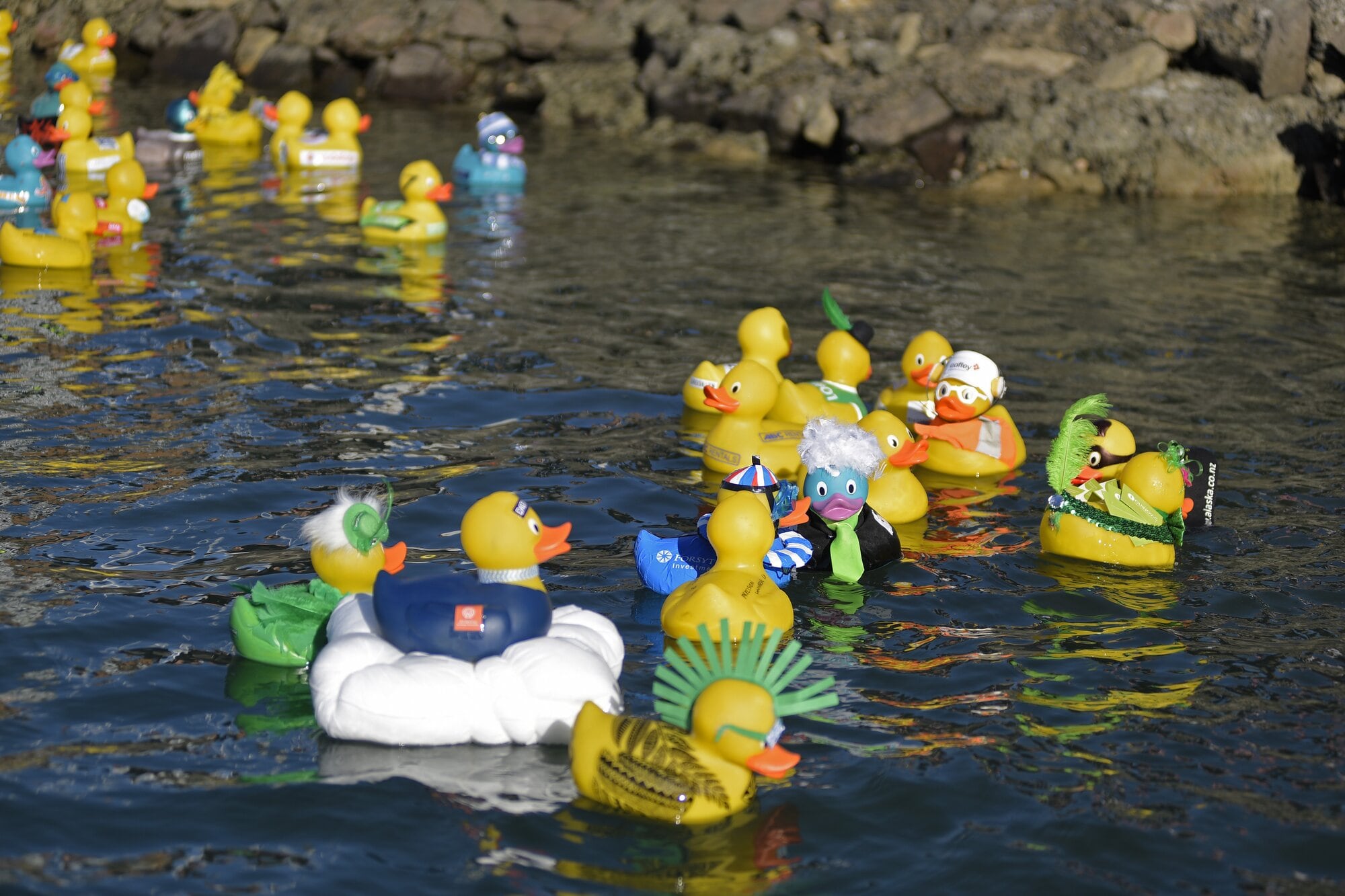 Corporate ducks competing in a previous Great Tauranga Duck Race. Photo / George Novak