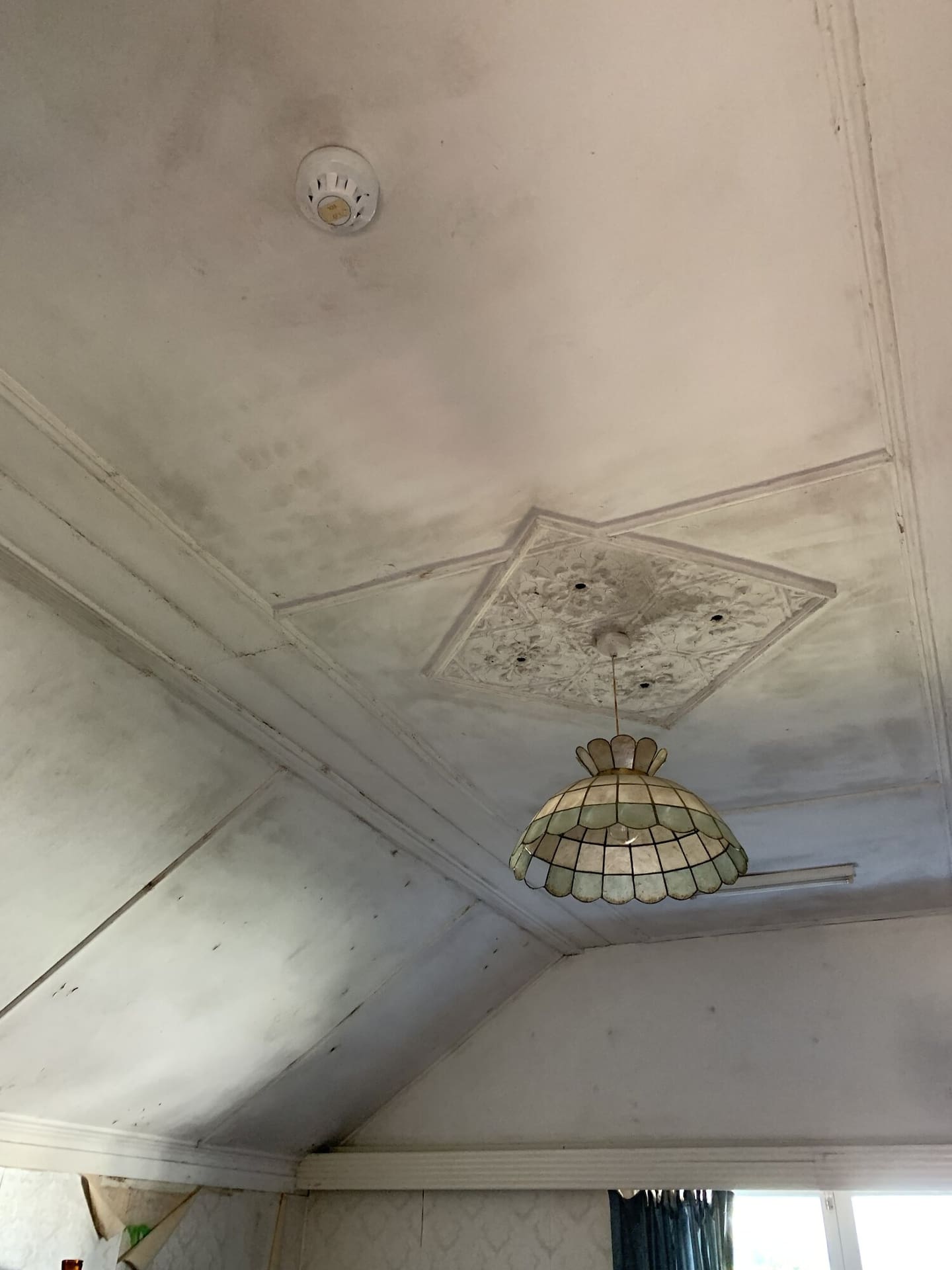 Heavy black mould had been found throughout the Mt Eden property.