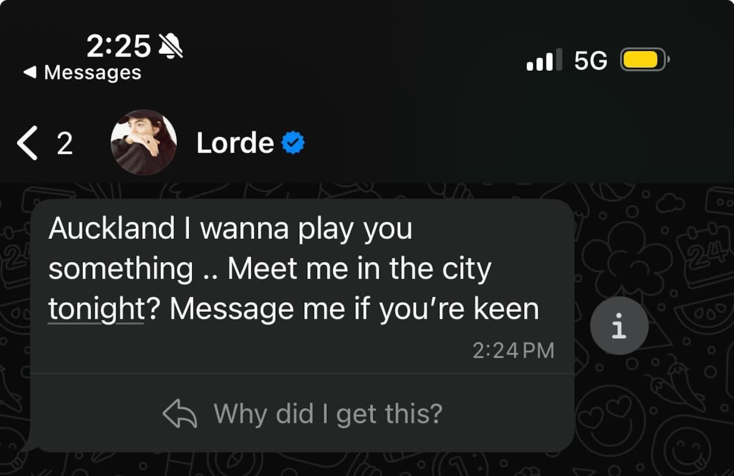 Lorde has told Auckland fans she wants to play them something. Photo / Tom Rose.