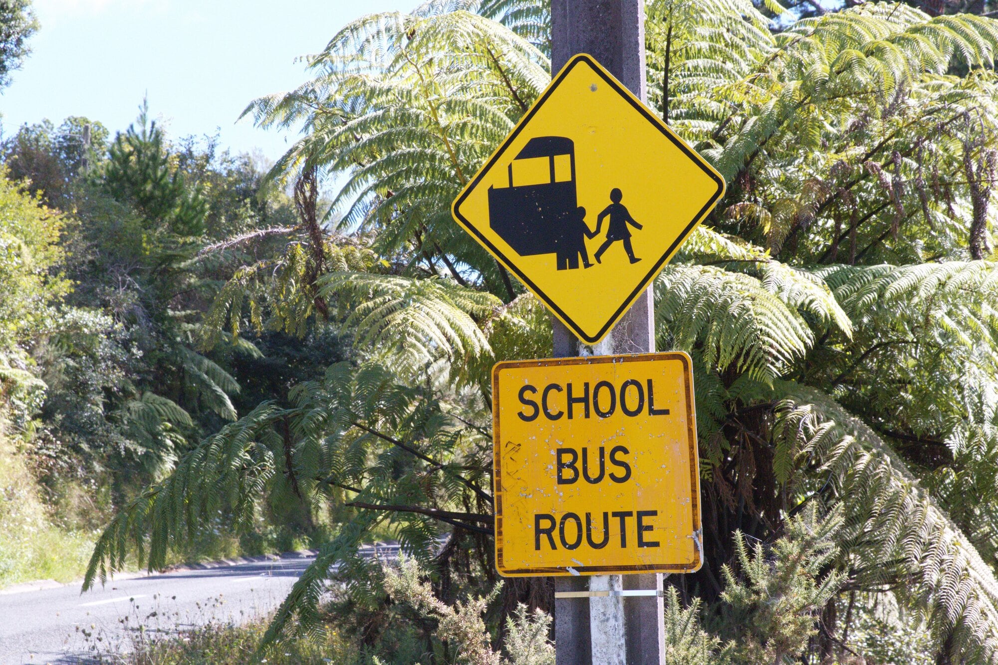 Current signage around Kaimai School to reduce speed. Photo / Kelly O'Hara