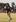 Isaac Ross of the All Blacks passes the ball during a training session at Zwartkop School in Centurion. Photo / Getty Images)