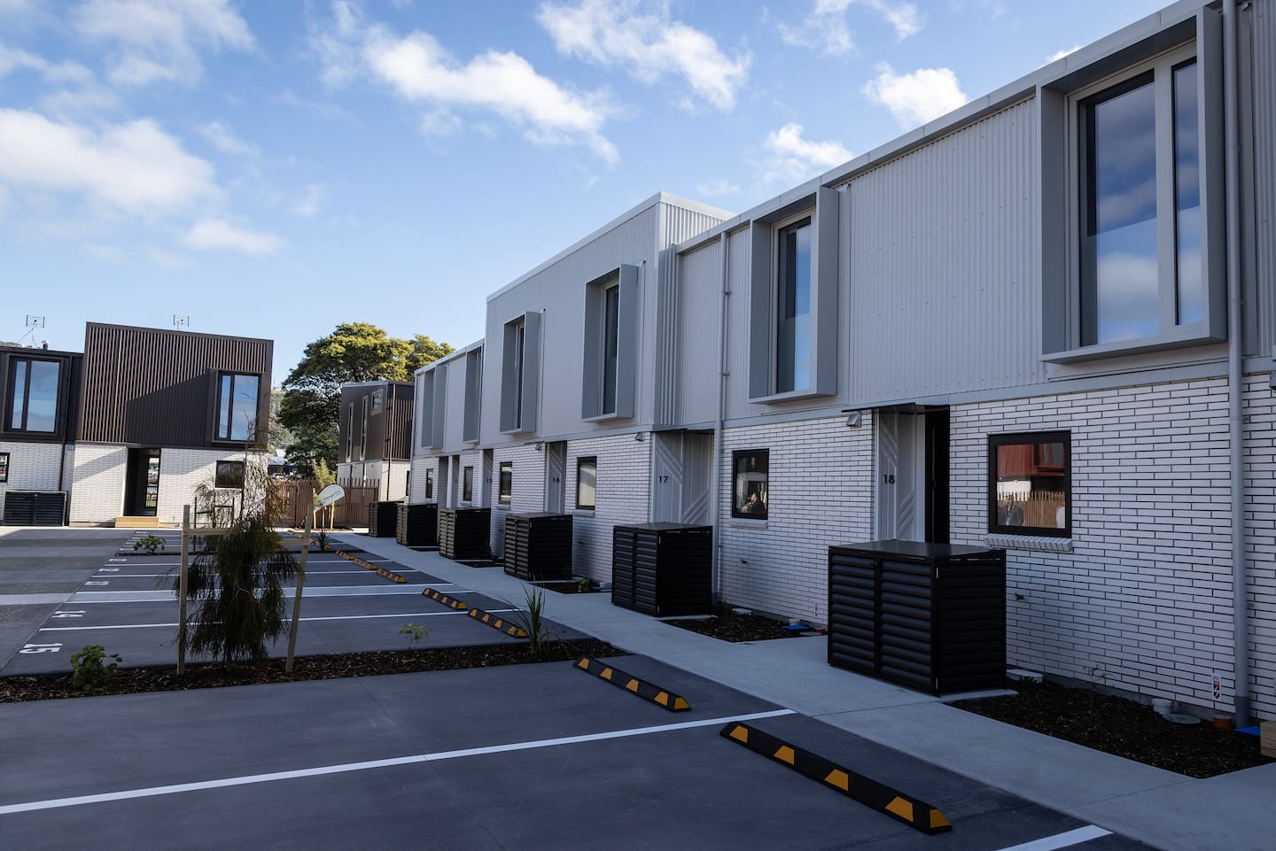 Tony Bradley's homes on Lake Rd. Photo / Andrew Warner