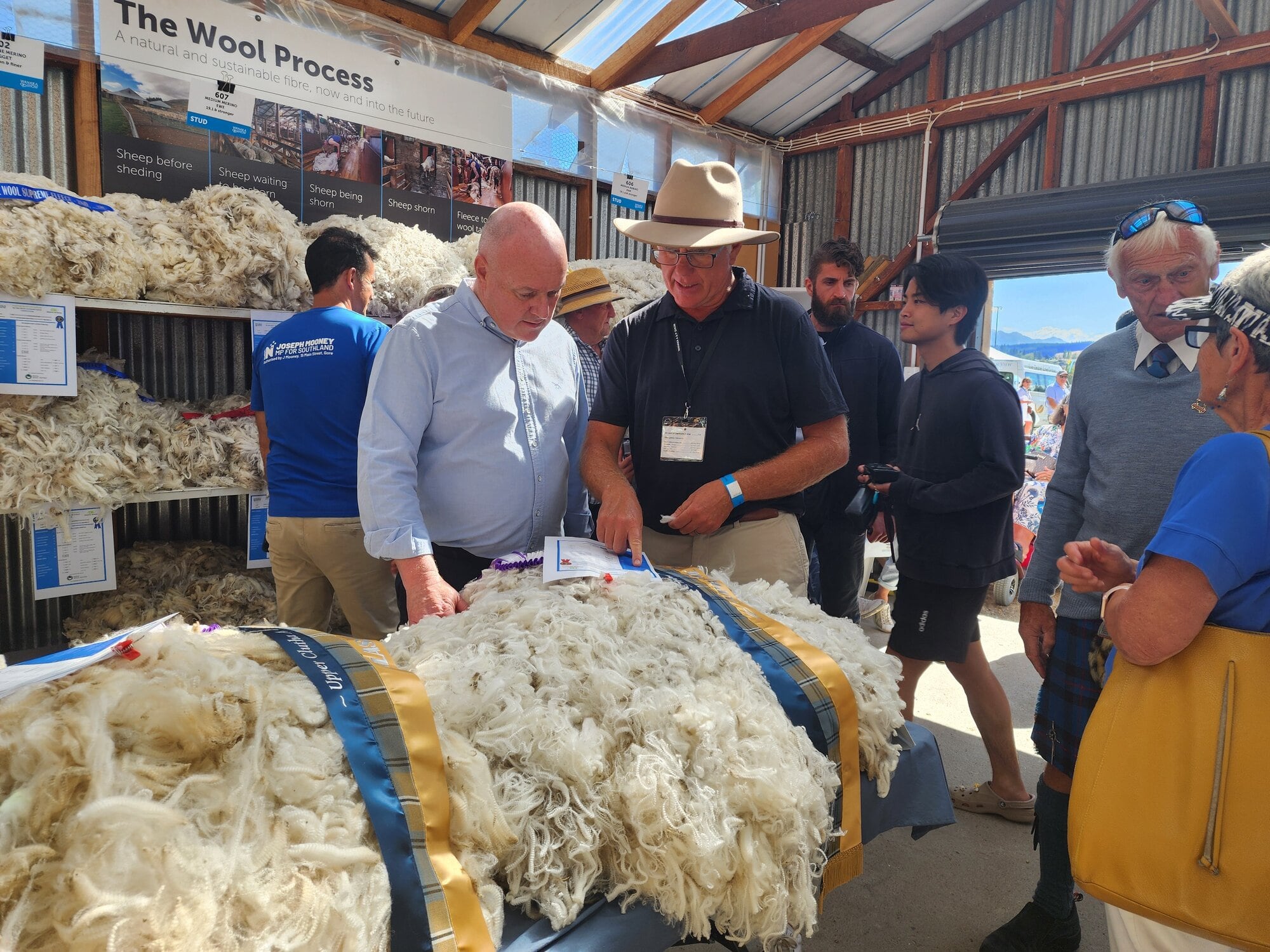 Wool carpet to be rolled out by Kāinga Ora in state homes - NZ Herald
