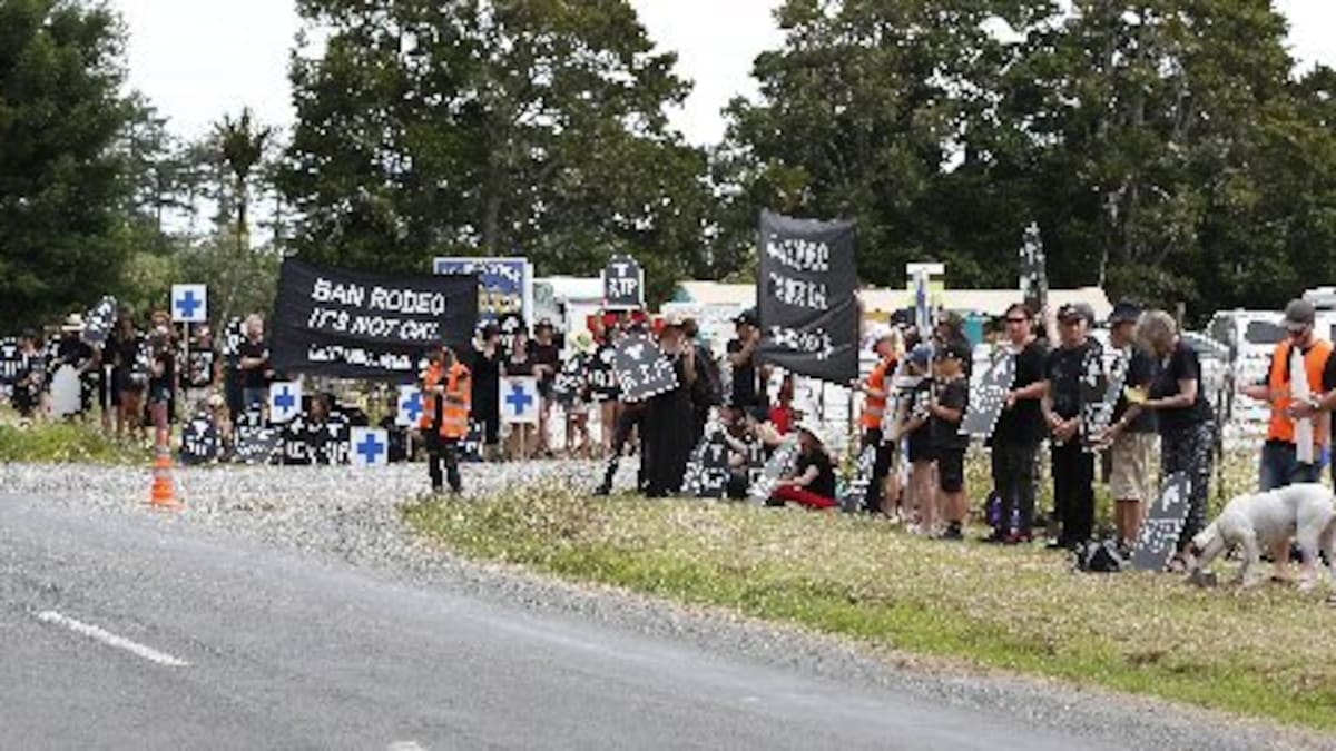 Anti-rodeo activists SAFE claim to be 'bullied' - NZ Herald