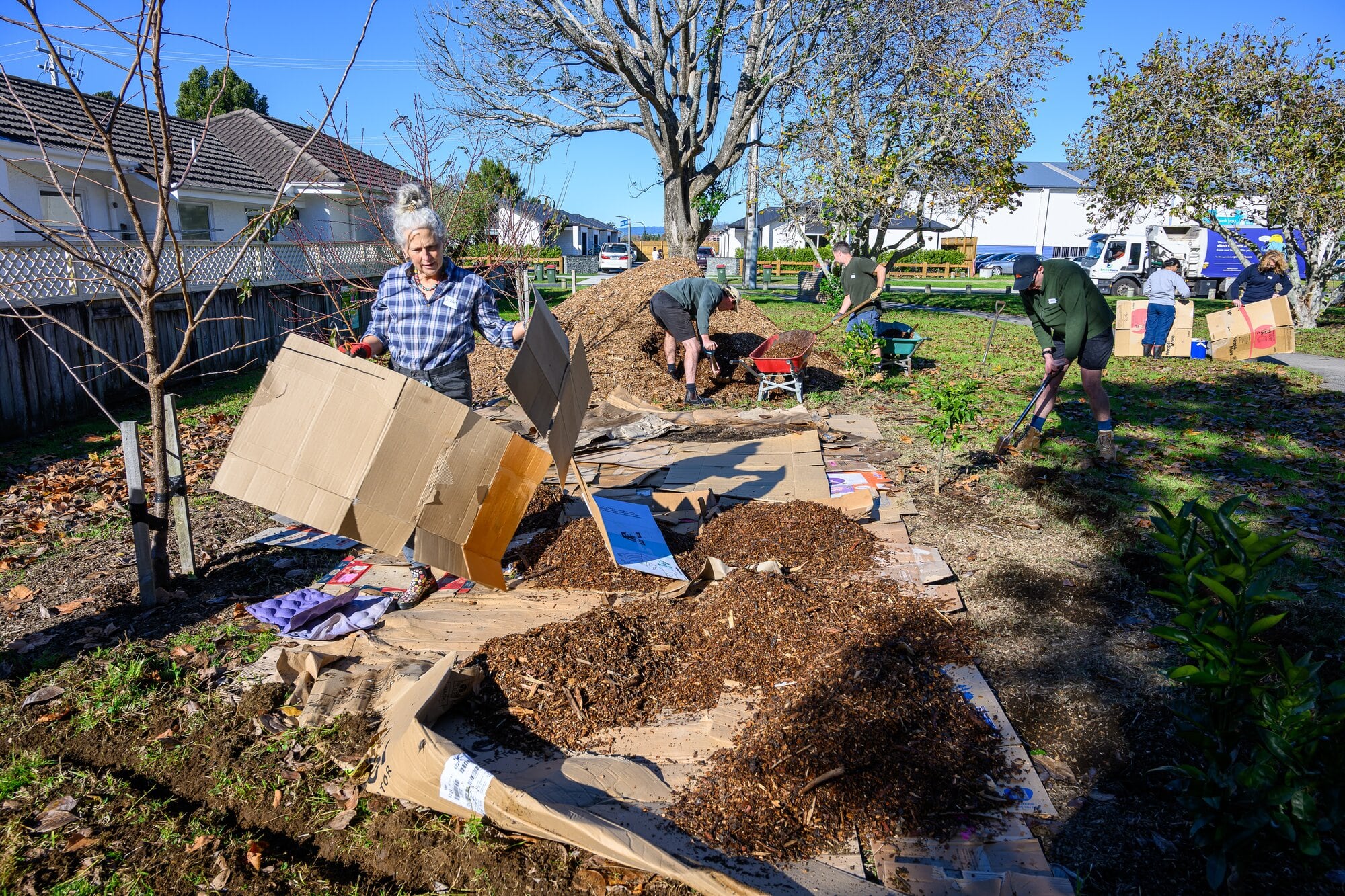  The working bee underway on May 20. Photo / David Hall