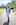 AUCKLAND, NEW ZEALAND - MARCH 02: University student Mai Haturini for Viva Street Style at Auckland University on March 02, 2026 in Auckland, New Zealand. Herald photograph by Dean Purcell