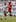 Isoa Damu of England moves the ball up against Fiji. Photo / Getty Images