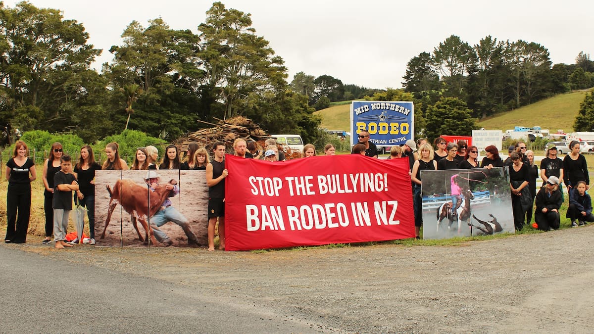 Petition to ban rodeos reaches Parliament - NZ Herald