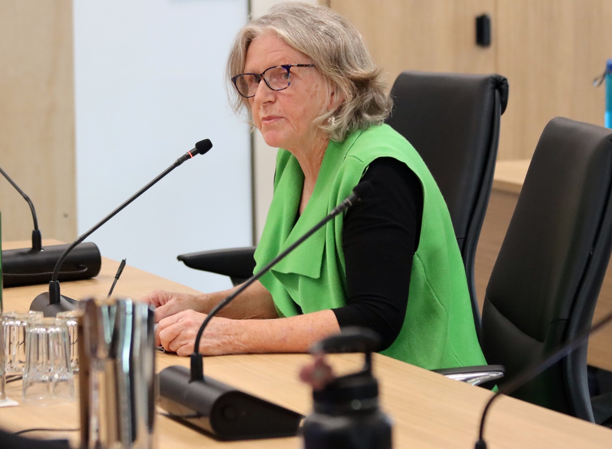 Jan Gyenge wanted a 0% residential rates rise. Photo / Alisha Evans