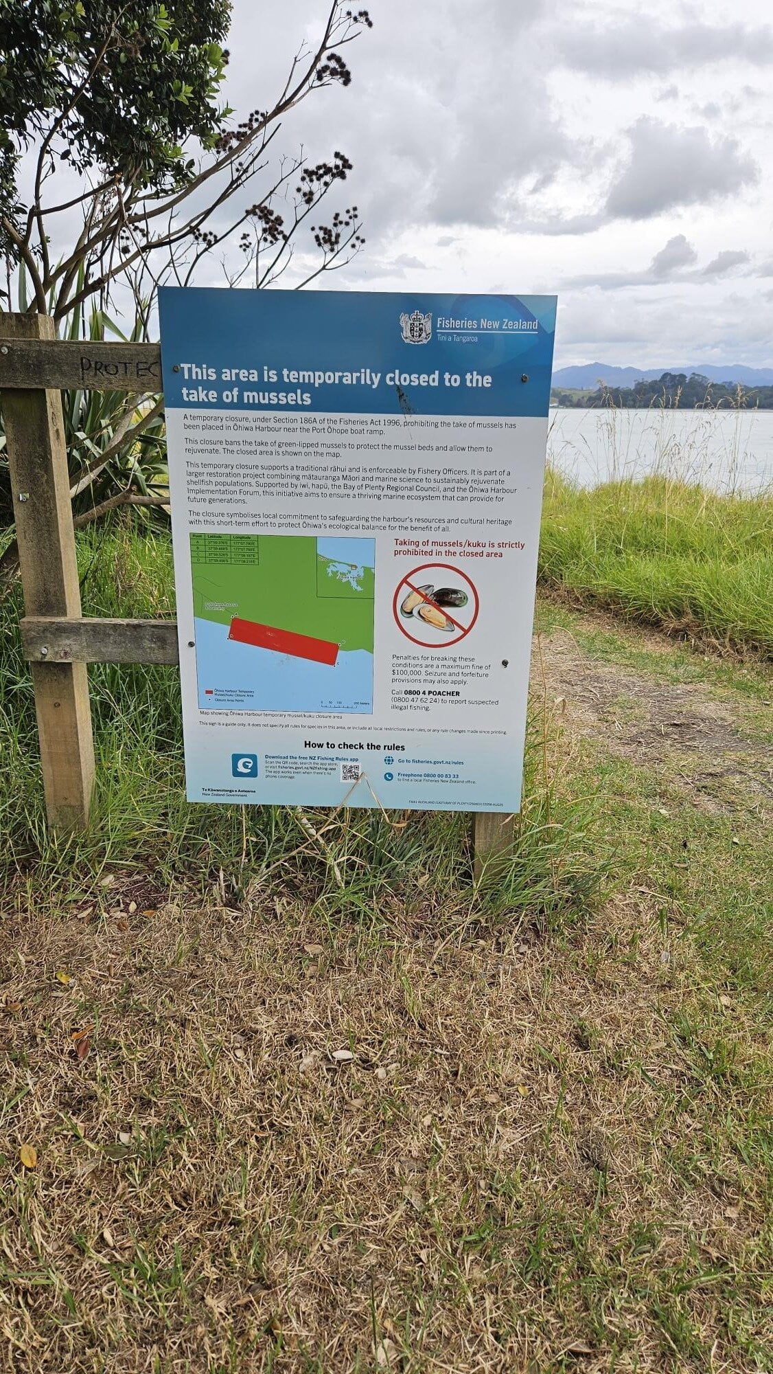  Signage showing closure to harvesting green-lipped mussels. Photo / MPI