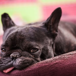 featured-image