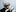 Karl Lagerfeld with his cat, Choupette. Photo / Facebook
