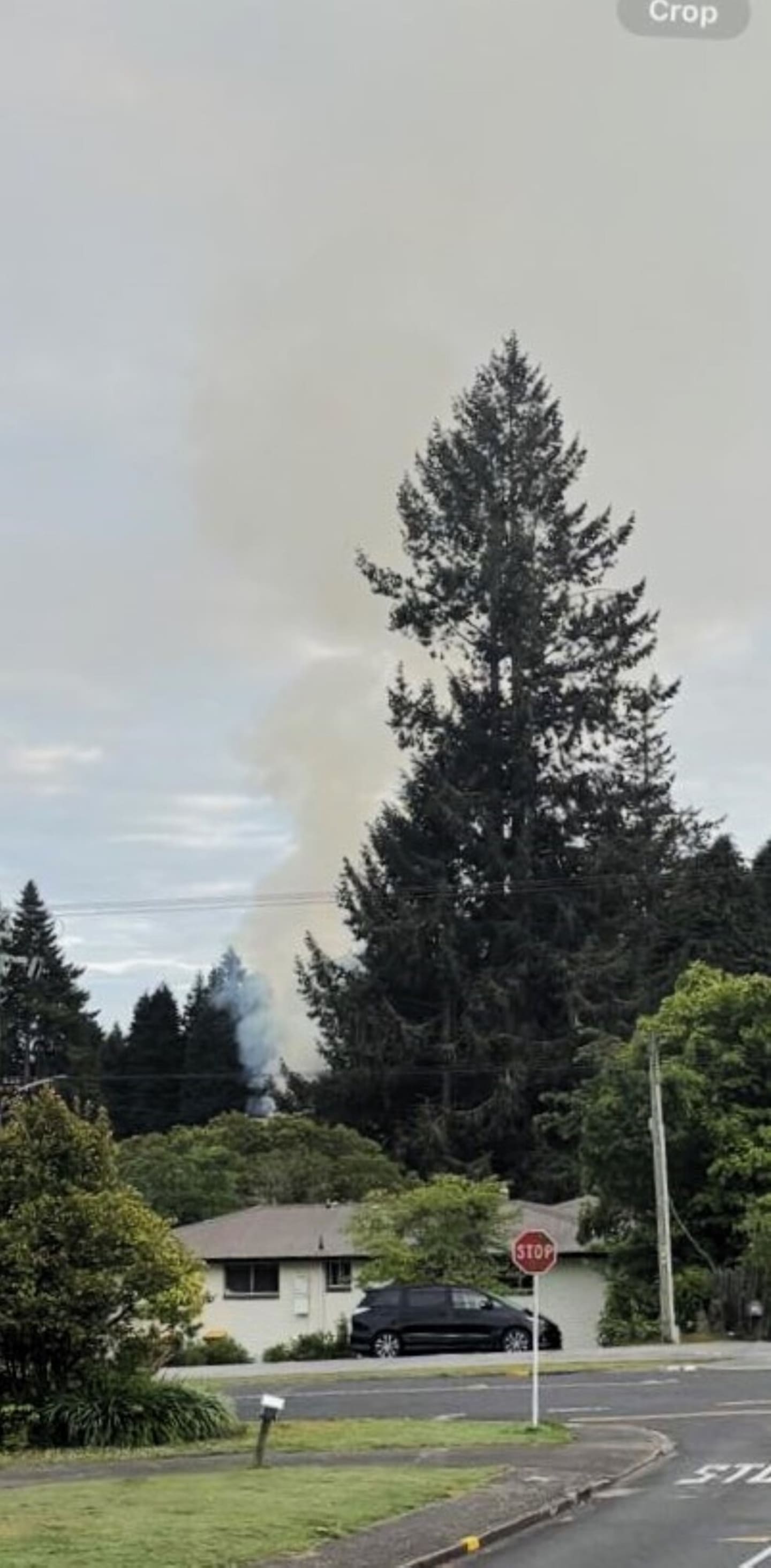 A planned burn-off at the Springfield Golf Course on Monday.