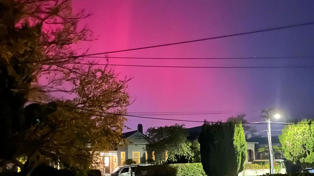 Solar storm causes autopilot wobbles for Kiwi Tesla drivers Solar storm causes autopilot wobbles for Kiwi Tesla drivers