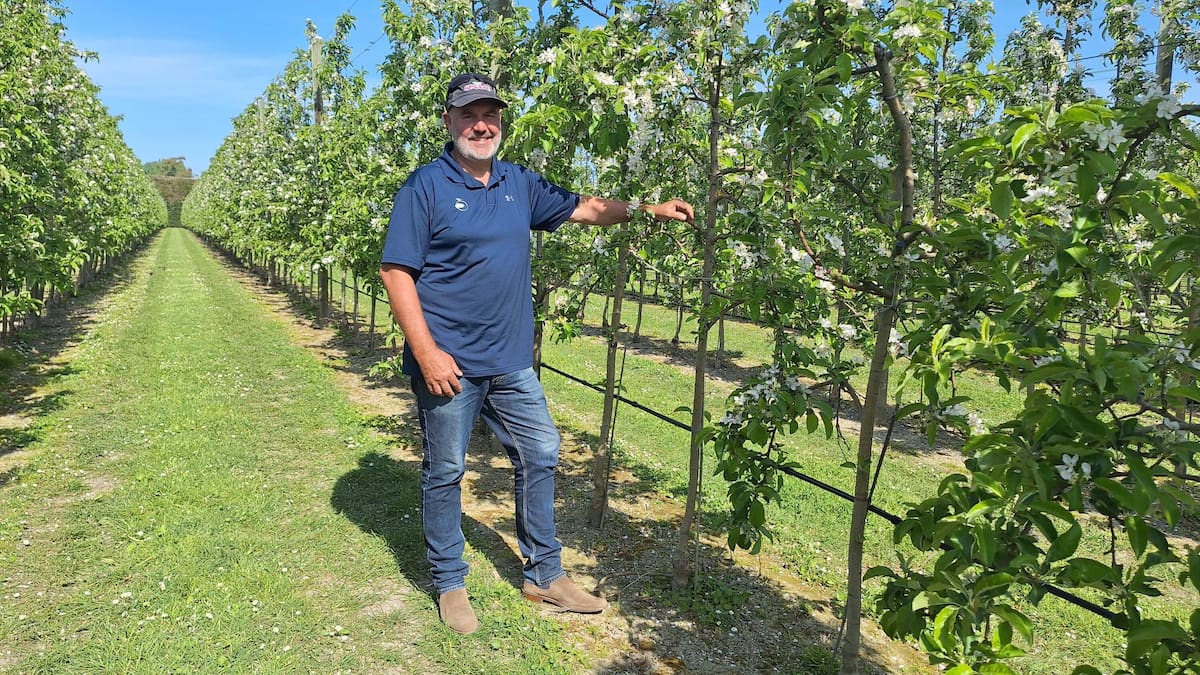 Water-efficient orchards: How tech is helping Hawke’s Bay growersFor orchardist and Freshco director Greig Taylor there is nothing better than...