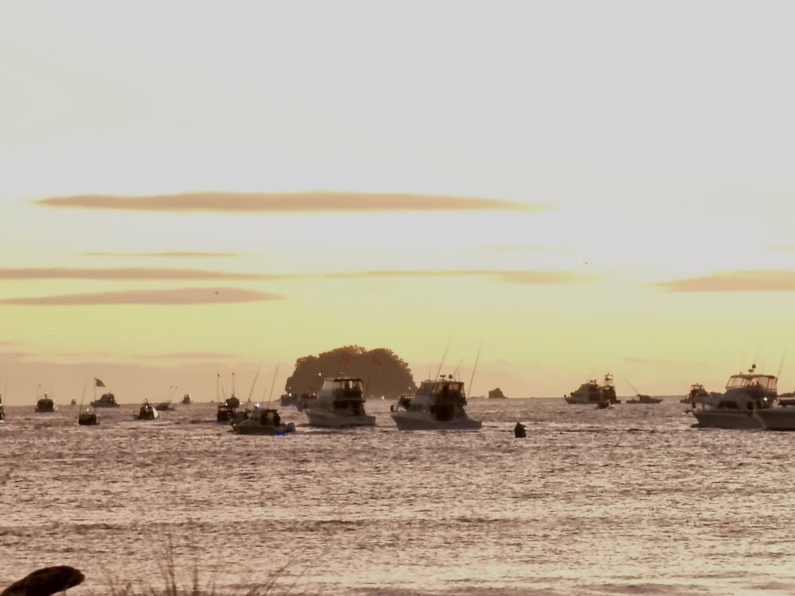 Some of the 470 boats lining up at Buffalo Beach in Whitianga for the competition start.