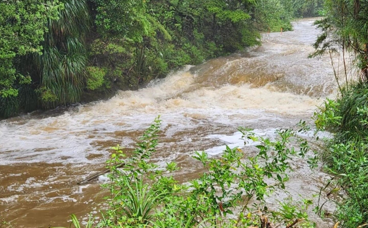 Police and emergency services are continuing the search with helicopters and rafts. Photo / Lucy Xia, RNZ