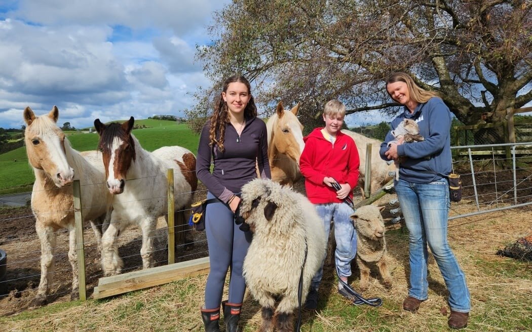 Radha, Bex's assistant, and trainee Hosea with her horses and sheep Barnaby and Rupert. Photo / RNZ, Sally Round