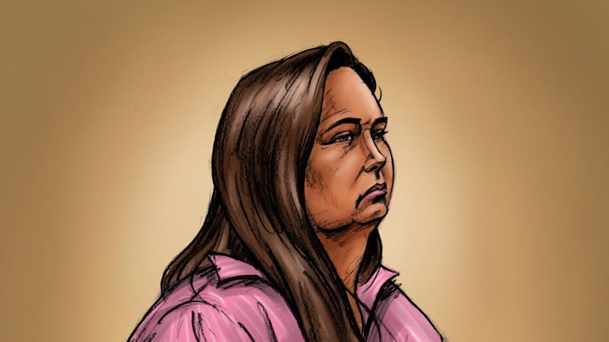 Mushroom cook killer Erin Patterson launches appeal of murder convictions Mushroom cook killer Erin Patterson launches appeal of murder convictions