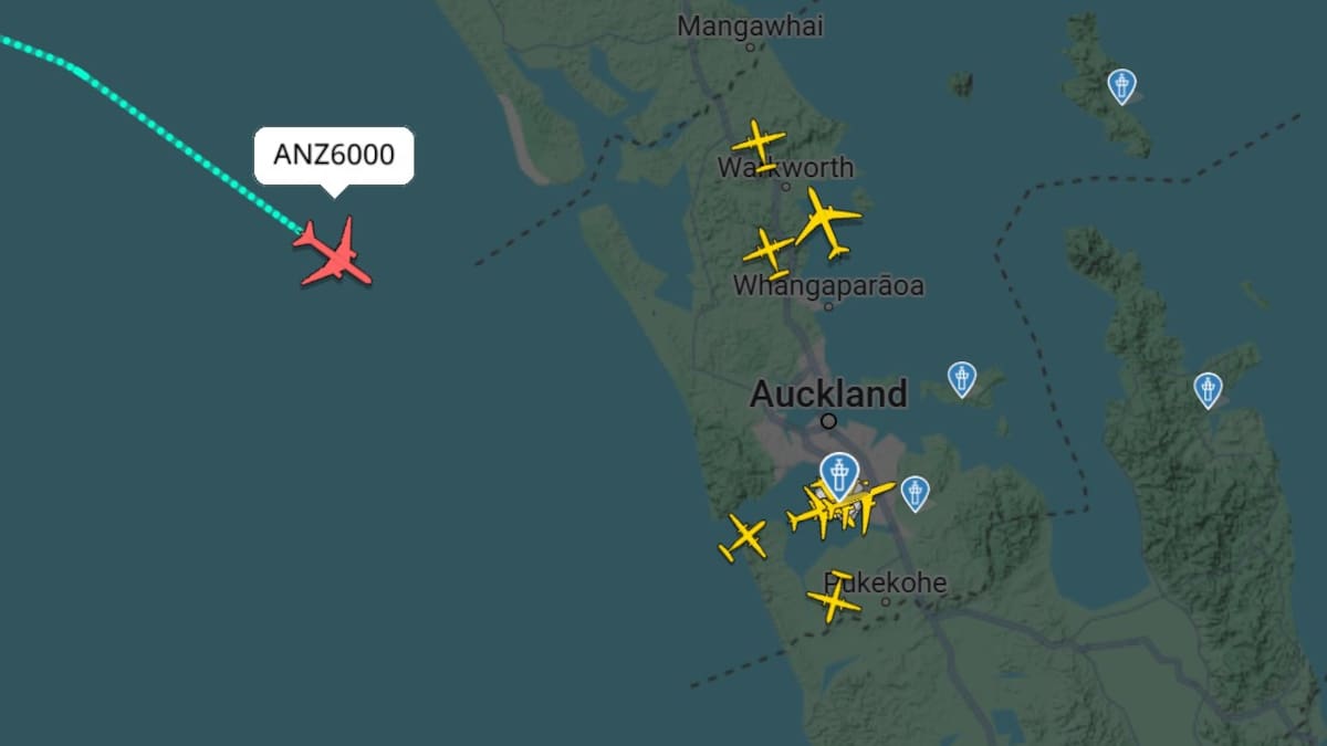 Low-level flight: Air NZ jet with punctured fuselage lands safely Low-level flight: Air NZ jet with punctured fuselage lands safely
