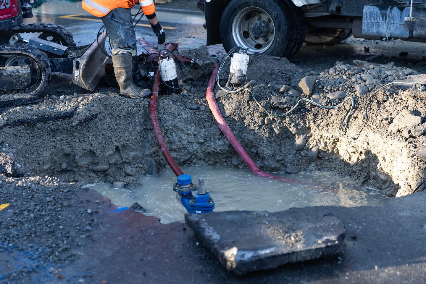 Photo / George Heard