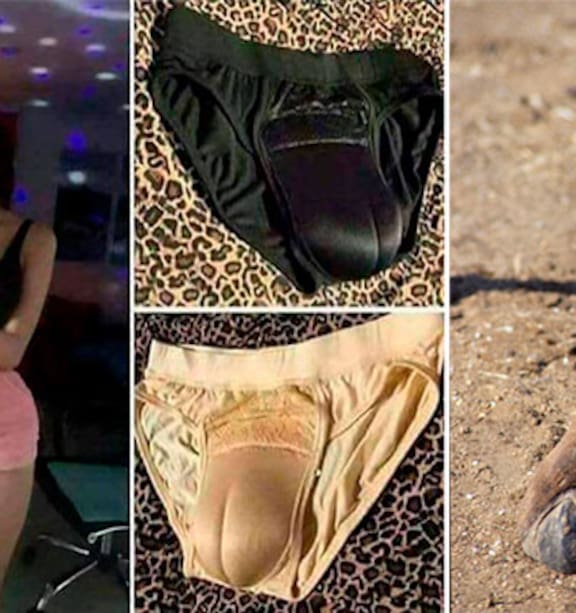 Fake camel-toe underwear' is the invention we absolutely did not
