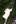 Photo / David Lomas