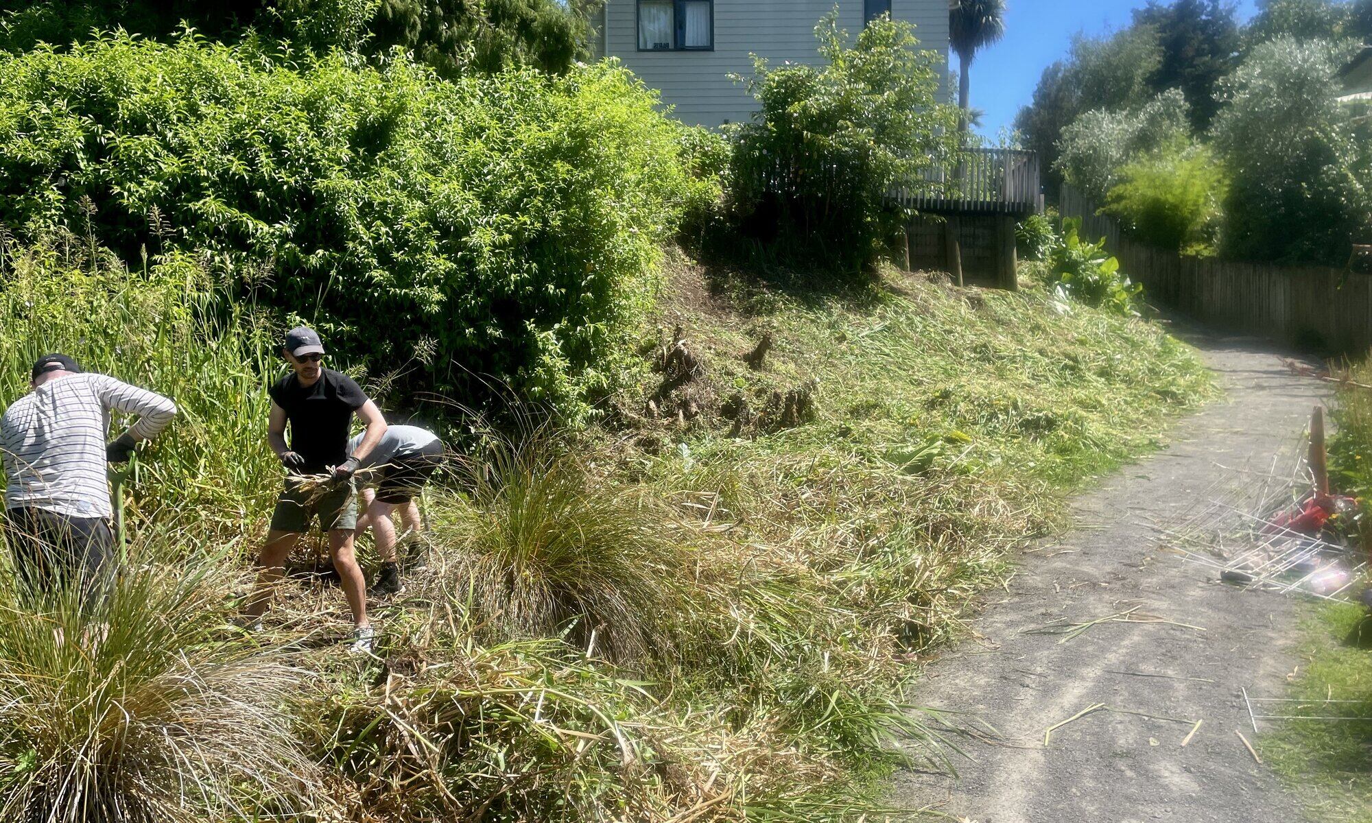 KPMG Tauranga volunteers clearing overgrowth to give back and improve Tauranga’s green spaces. Photo / Angus Gough, TCC